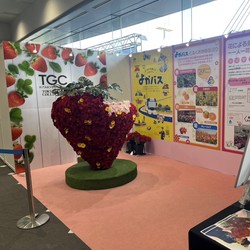 TGC 北九州 2025