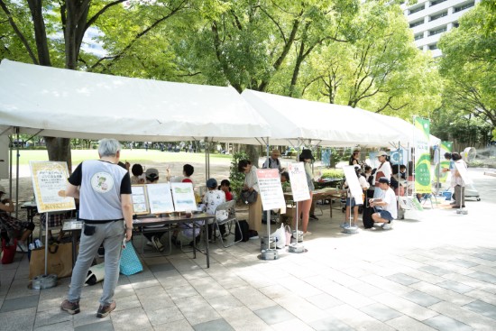前回の公園の様子