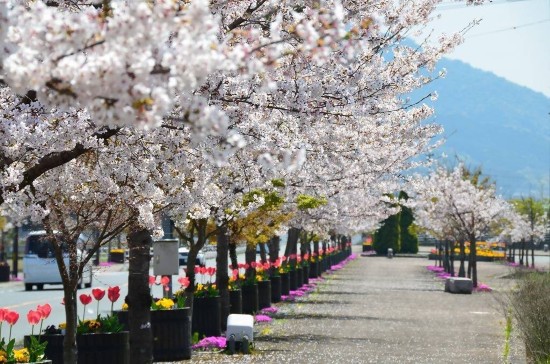 新テーマ「花や緑で彩られたまちの風景」イメージ