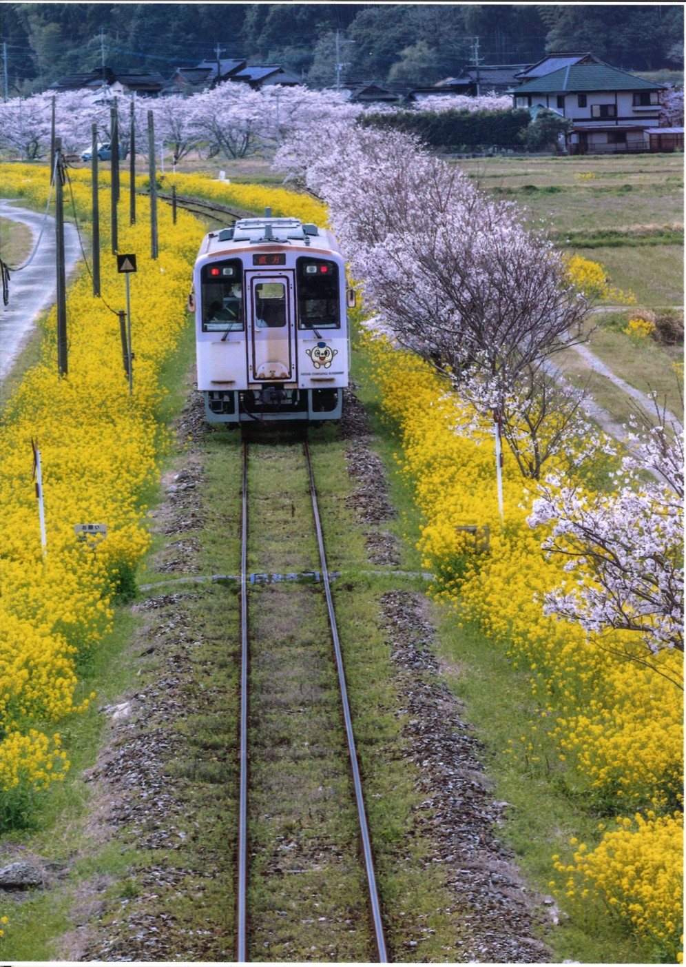 みやこ町|福岡県美しいまちめぐりガイド